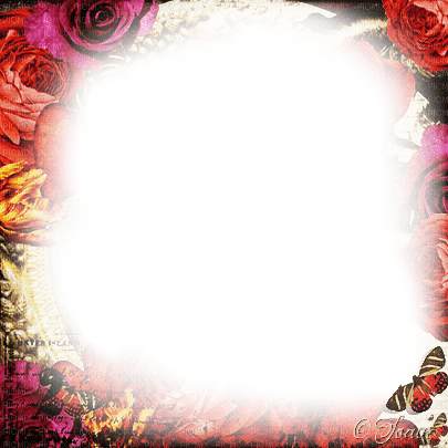 soave frame vintage flowers rose red pink yellow - zadarmo png