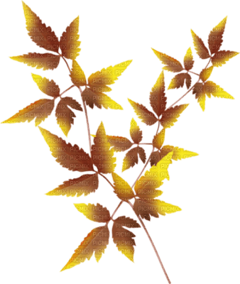 autumn - ücretsiz png