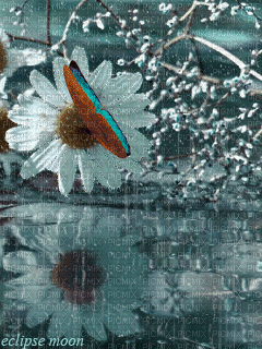 backround katrin - Zdarma animovaný GIF