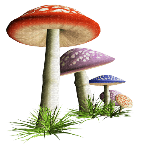 mushrooms Bb2 - gratis png