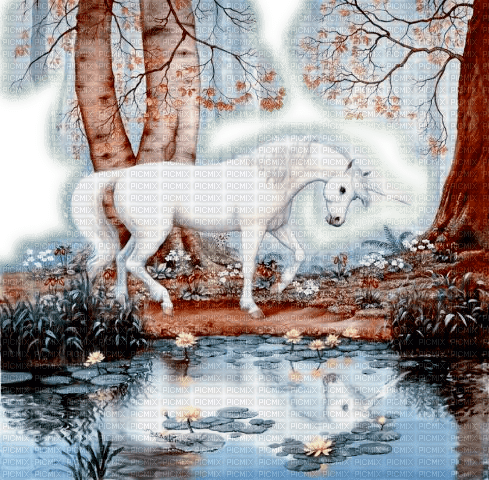 einhorn unicorn milla1959 - png gratuito