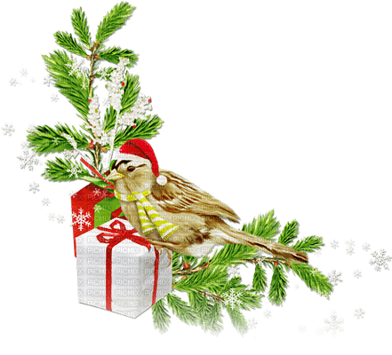 soave deco christmas winter branch corner bird - png gratis