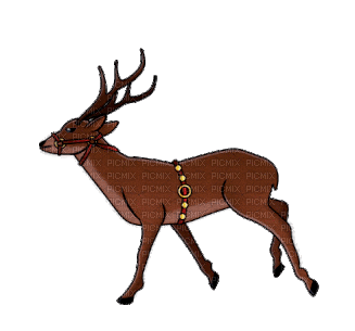 Deer.Reno.Renne.Reindeer.Gif.Victoriabea - GIF animate gratis