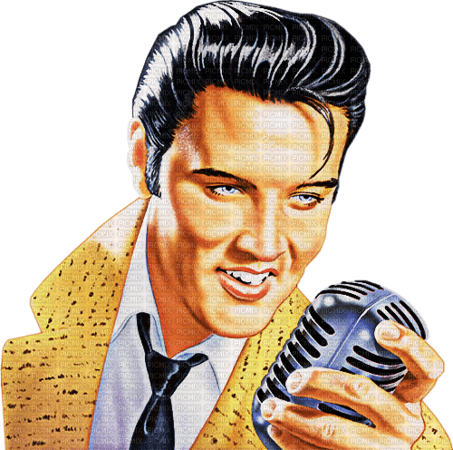 Elvis the King - gratis png