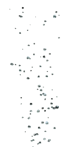 Bubble - 免费动画 GIF