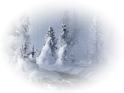 winter hiver paysage landscape forest snow neige fond background - gratis png