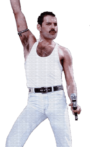 Freddie Mercury milla1959 - png grátis