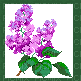 Lilac - GIF animasi gratis