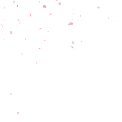 Rain petals ❤️ elizamio - Darmowy animowany GIF
