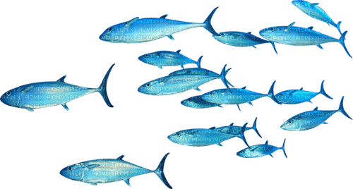 Frutiger aero fish - PNG gratuit
