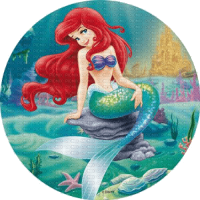 arielle little mermaid - PNG gratuit