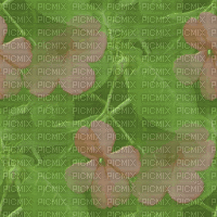 Hintergrund, Blumen - Gratis animerad GIF