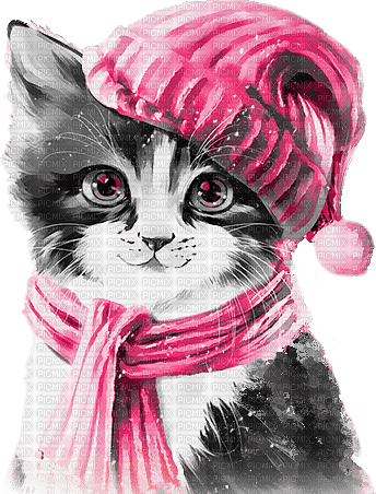 soave cat animals winter deco black white pink - png grátis