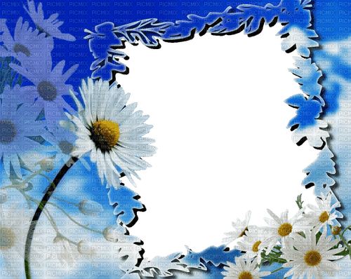 daisy frame - δωρεάν png