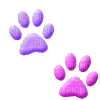 paws - png gratuito