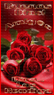 amichibd - Darmowy animowany GIF