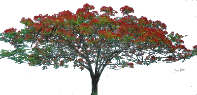 tree - GIF animado grátis