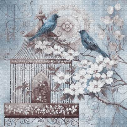 soave background animated blue brown - 免费动画 GIF