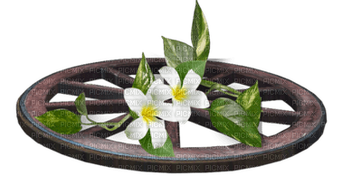 wheel flowers spring deco - PNG gratuit
