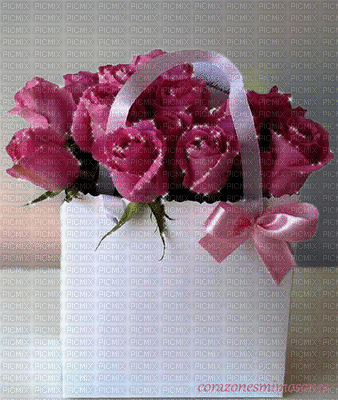 rosas - Bezmaksas animēts GIF