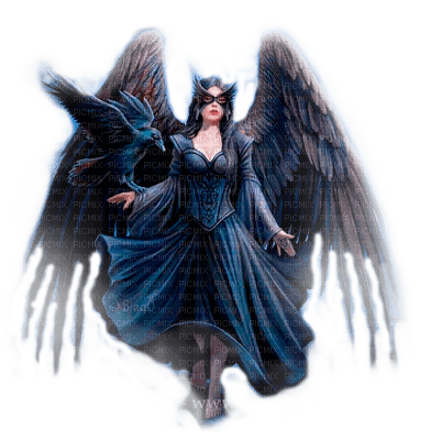 Y.A.M._Gothic angel - gratis png