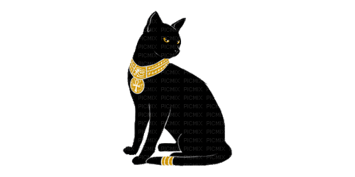 кошка - Безплатен анимиран GIF