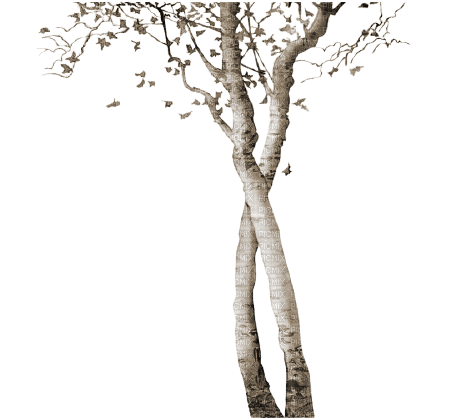 autumn tree sepia kikkapink - ücretsiz png