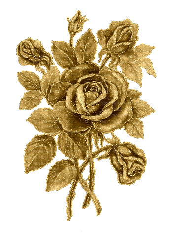 vintage roses - Zdarma animovaný GIF