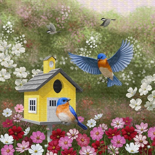 Bluebirds-RM - zdarma png