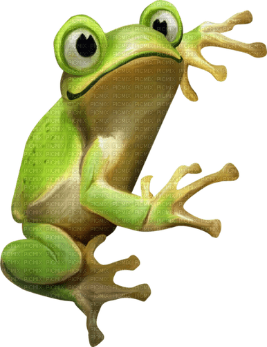 frog - kostenlos png