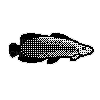 grouper mario&sonic rio olympic games - nemokama png
