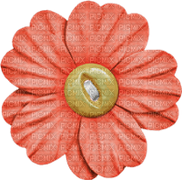 Flower Blume orange yellow Button - ücretsiz png