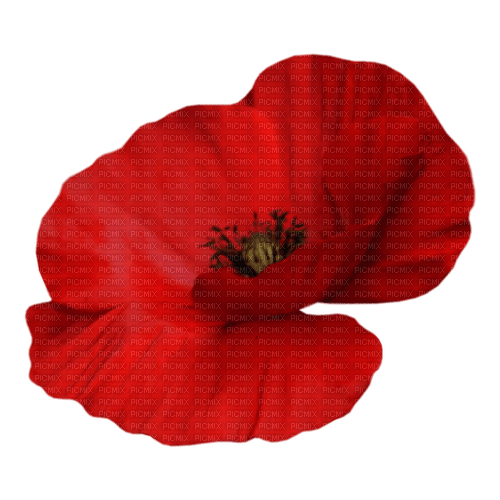 kikkapink red poppy deco png - Free PNG