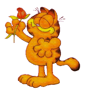 MMarcia gif Garfield - GIF animé gratuit