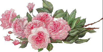roze - Bezmaksas animēts GIF