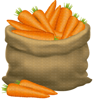 zanahorias - png gratuito