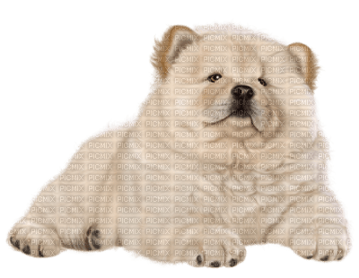 Kaz_Creations Dog-Pup - PNG gratuit