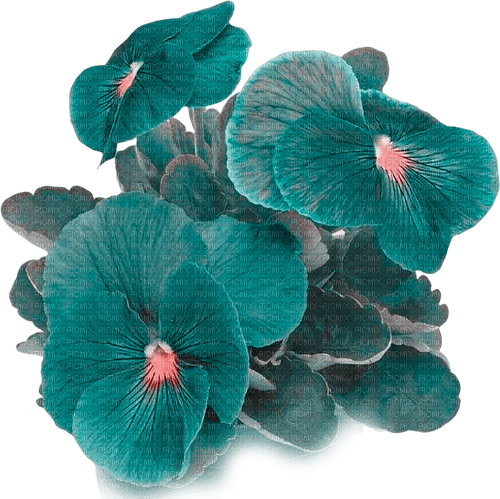 kikkapink spring summer blue flowers deco - PNG gratuit