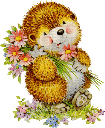 hedgehog by nataliplus - PNG gratuit