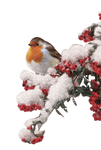 noel hiver oiseau - δωρεάν png