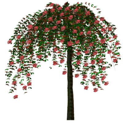 Baum/tree - бесплатно png