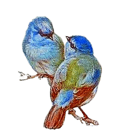 Birds.Oiseaux.Pájaros.Blue.Victoriabea - PNG gratuit