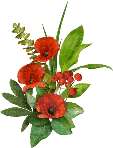 blommor-röda----flowers--red - darmowe png