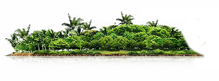 island tropical 🌴 - ücretsiz png