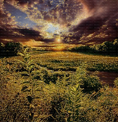Rena Landschaft Sonnenuntergang Wiese glitter - Gratis animeret GIF