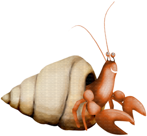 Caracol con cangrejo - Free PNG