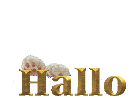 hallo - 無料のアニメーション GIF