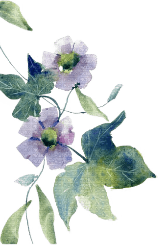 purple flowers - 無料png