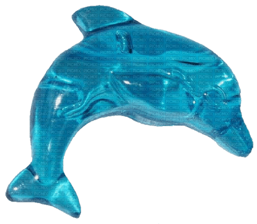 dolphin - png grátis