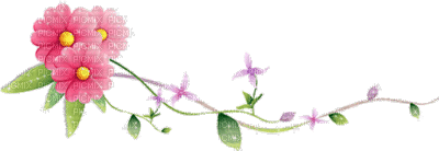 pink flower deco border gif - Animovaný GIF zadarmo